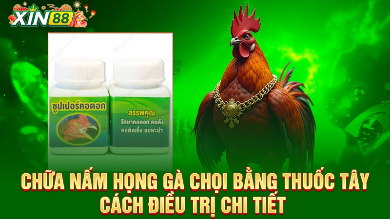 Chữa nấm họng gà chọi bằng thuốc tây