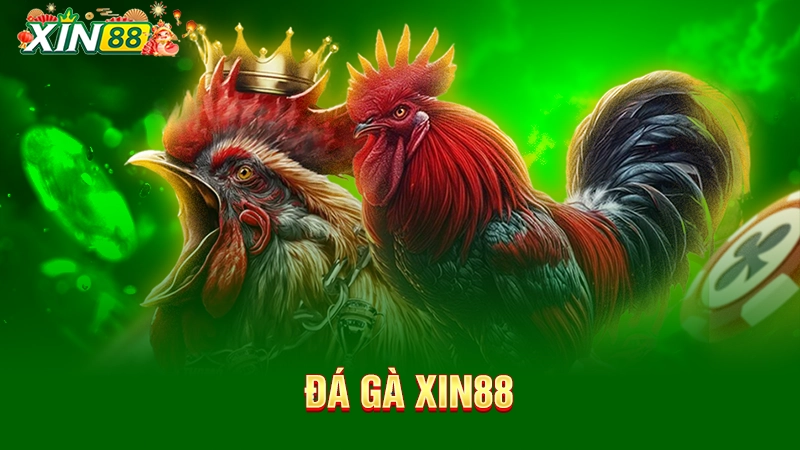 Đá gà Xin88