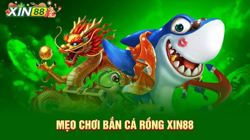 Mẹo chơi bắn cá rồng Xin88
