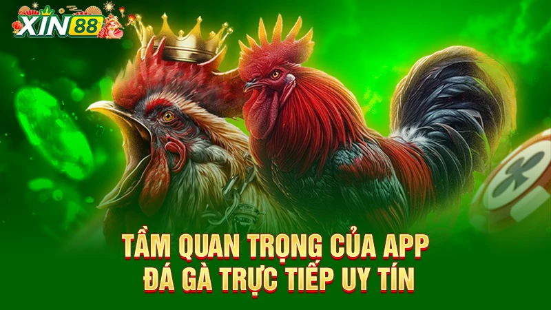 Tầm quan trọng của app đá gà trực tuyến