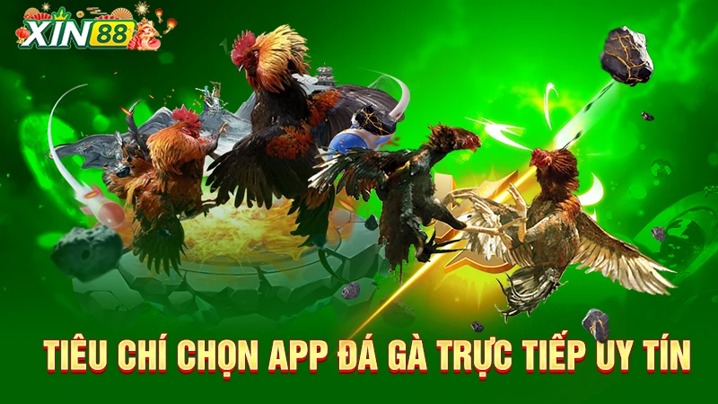 Tiêu chí lựa chọn app đá gà trực tiếp